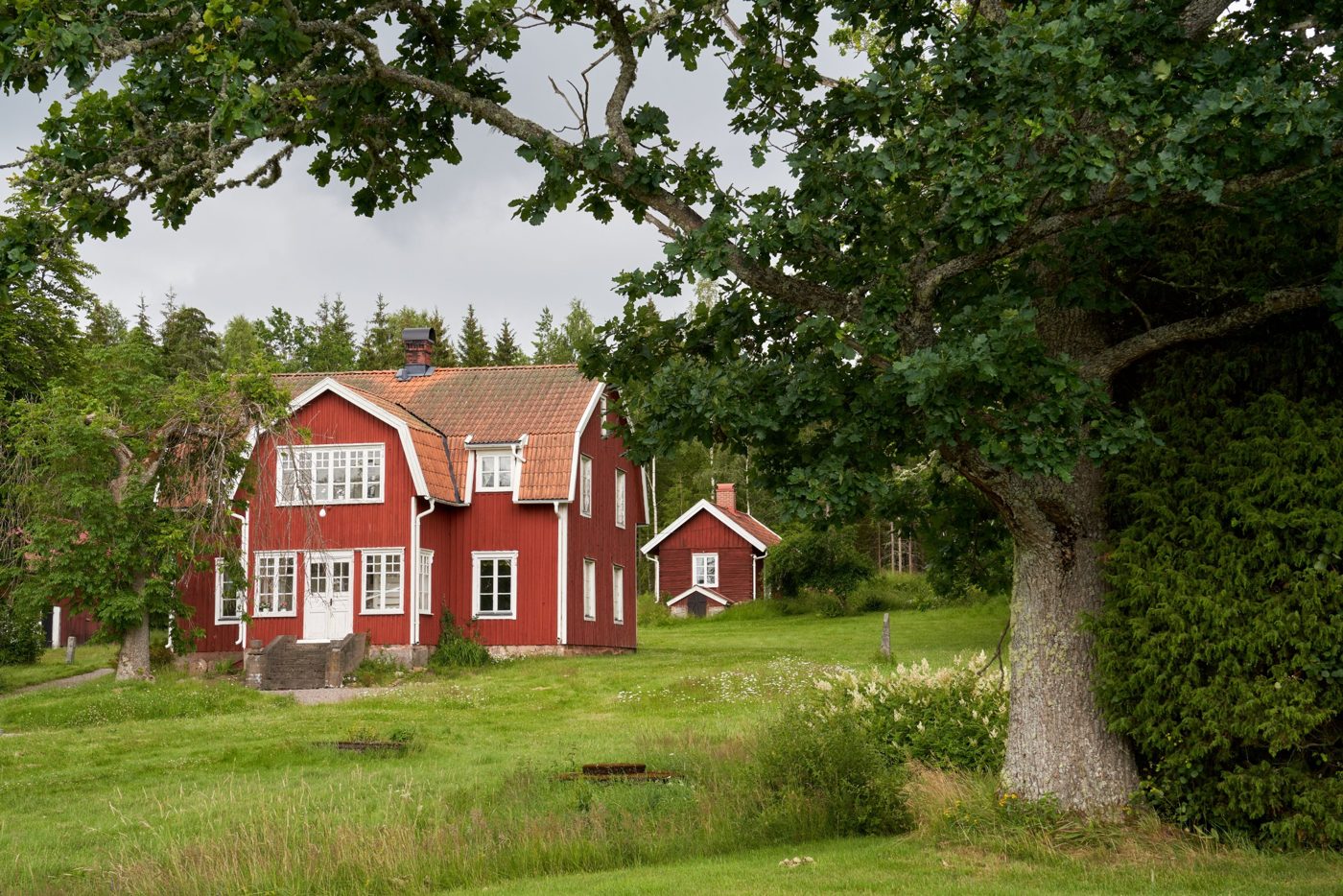 Punainen puutalo pihapiireineen tammen alla